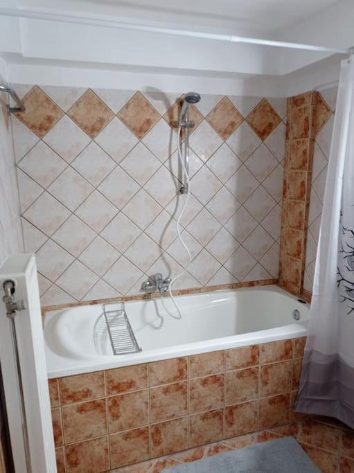 דירות Trikala Alex House מראה חיצוני תמונה
