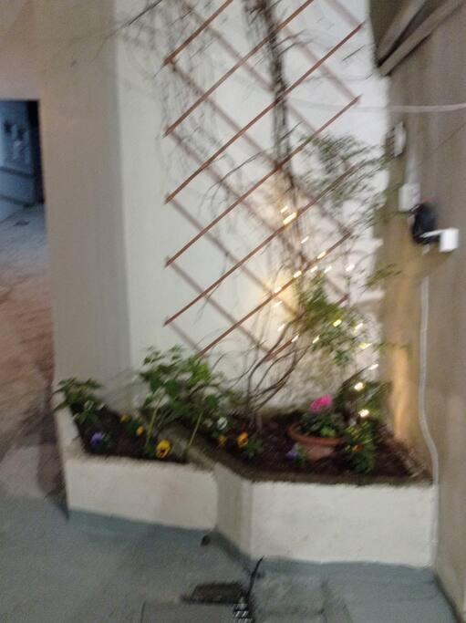 דירות Trikala Alex House מראה חיצוני תמונה